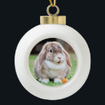 Adorno De Cerámica Tipo Bola Conejo de orejas cortas<br><div class="desc">Conejo de orejas cortas. En la tienda,  use fotos de la red que hayan sido marcadas como Dominio Público o CC0 y que puedan ser usadas gratis.</div>