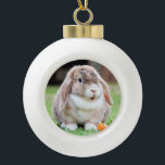 Adorno De Cerámica Tipo Bola Conejo de orejas cortas<br><div class="desc">Conejo de orejas cortas. En la tienda,  use fotos de la red que hayan sido marcadas como Dominio Público o CC0 y que puedan ser usadas gratis.</div>