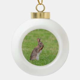 Adorno De Cerámica Tipo Bola Conejo parado en el césped y con aspecto tímido
