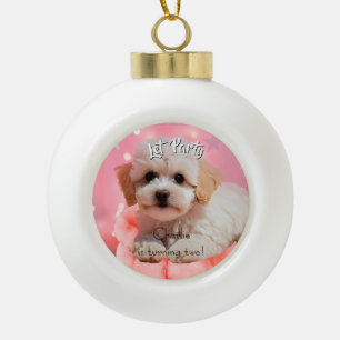 Adorno De Cerámica Tipo Bola Cumpleaños Perro Vamos a la Fiesta