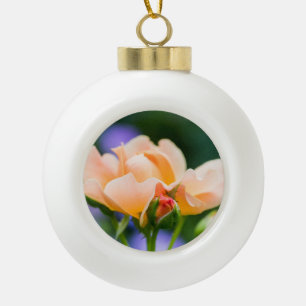 Adorno De Cerámica Tipo Bola deseo de desarrollo