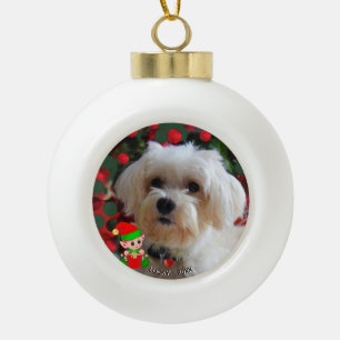 Adorno De Cerámica Tipo Bola Foto de perro maltés personalizada con elfo lindo