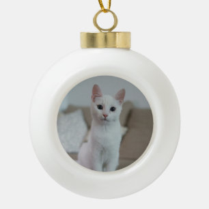 Adorno De Cerámica Tipo Bola Gato blanco   Zazzle_Growshop.