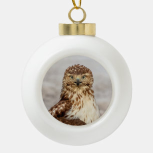 Adorno De Cerámica Tipo Bola Halcón rojo inmaduro en el suelo