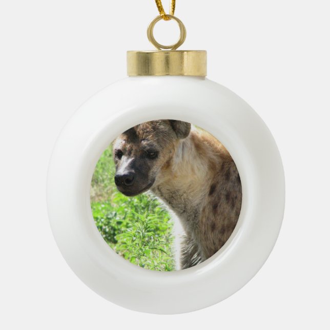 Adorno De Cerámica Tipo Bola Hyena (Anverso)
