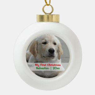 Adorno De Cerámica Tipo Bola Mascota Primera plantilla de fotografía personaliz