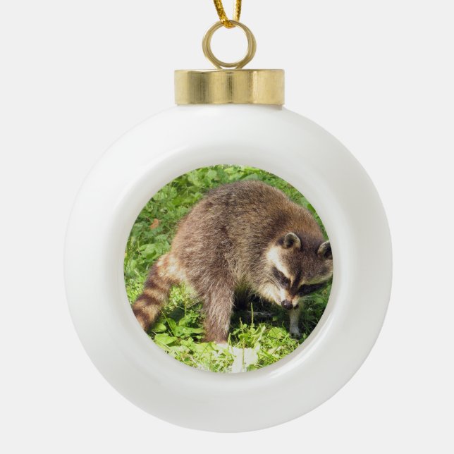 Adorno De Cerámica Tipo Bola Raccoon (Anverso)