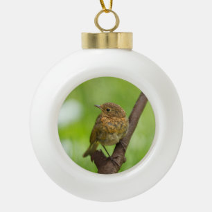 Adorno De Cerámica Tipo Bola Un Robin Nacido En Una Rama