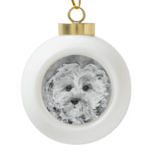 Watercolour. de Cavapoo