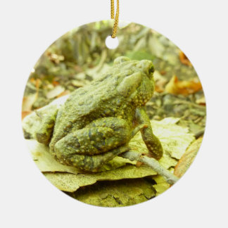 Adorno De Cerámica Toad forestal