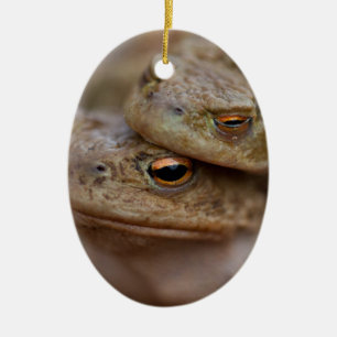 Adorno De Cerámica Toads Ornamet "La Pareja Fea"