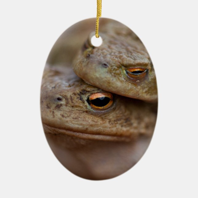Adorno De Cerámica Toads Ornamet "La Pareja Fea" (Frente)