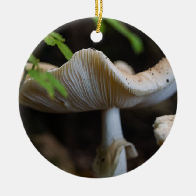 Adorno De Cerámica Toadstool Umbrella (Frente)
