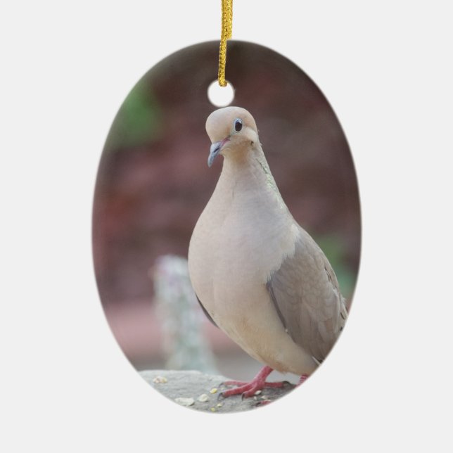 Adorno De Cerámica Todo es malo (Frente)