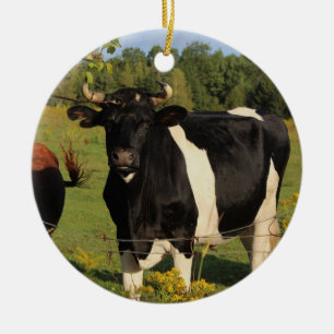 Adorno De Cerámica Tome la Bull por los cuernos