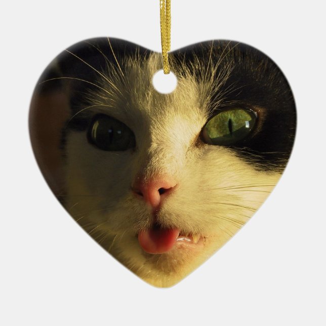 Adorno De Cerámica Tonga de gato (Frente)