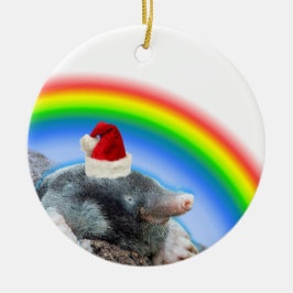 Adorno De Cerámica Topo festivo