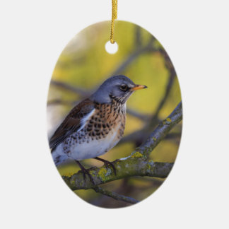 Adorno De Cerámica Tordo de enebro