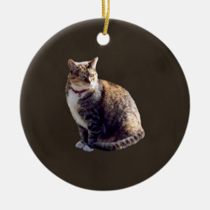 Adorno De Cerámica Tortoiseshell Cat