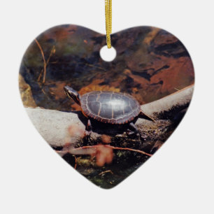 Adorno De Cerámica Tortuga feliz