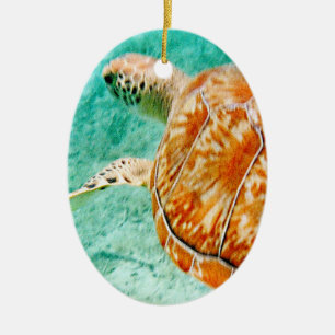 Adorno De Cerámica Tortuga marina