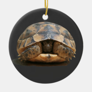 Adorno De Cerámica Tortuga mora retraída