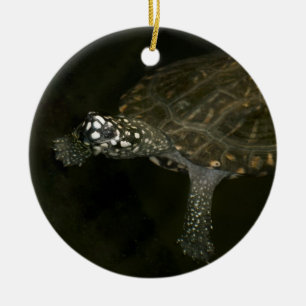 Adorno De Cerámica Tortuga nadando