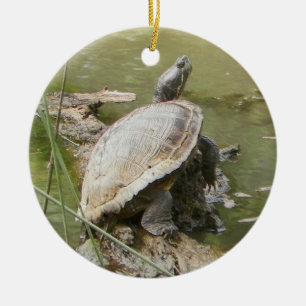 Adorno De Cerámica Tortuga Pond