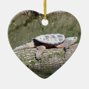 Adorno De Cerámica Tortuga Snapping