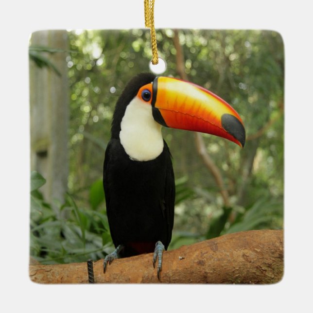 Adorno De Cerámica Toucan en la rama del árbol (Anverso)