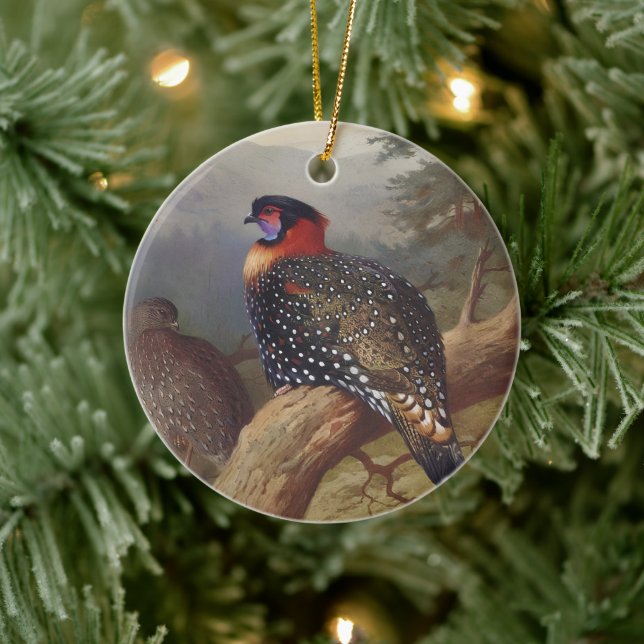 Adorno De Cerámica Tragopan occidental, Ilustraciones de aves (Árbol)