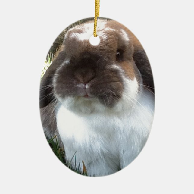 Adorno De Cerámica ¡Traiga un cierto furriness en su vida! (Frente)