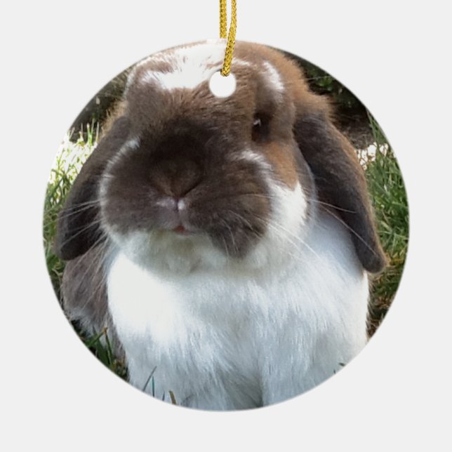 Adorno De Cerámica ¡Traiga un cierto furriness en su vida! (Frente)