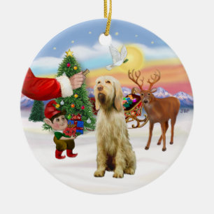 Adorno De Cerámica Tratamiento para un Spinone Italiano
