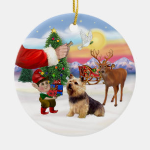 Adorno De Cerámica Tratar para un Norwich Terrier
