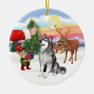 Adorno De Cerámica Tratar por un malamute alasqués