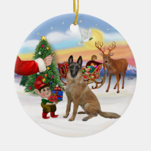 Adorno De Cerámica Treat - Malinois belga