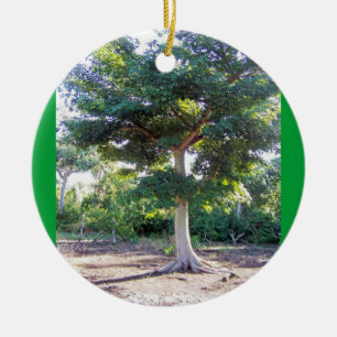 Adorno De Cerámica Tree of Wisdom-circle ornament