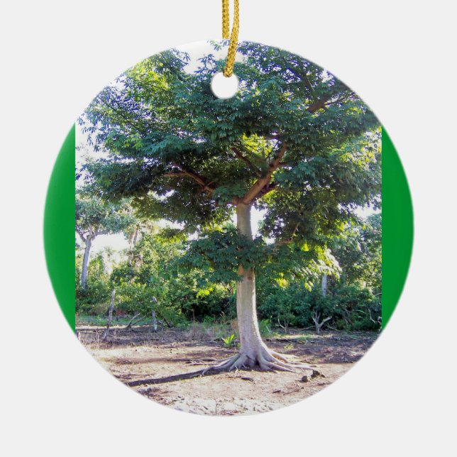 Adorno De Cerámica Tree of Wisdom-circle ornament (Frente)