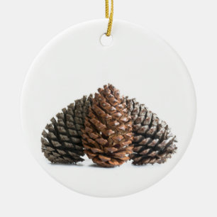 Adorno De Cerámica Tres pinecones