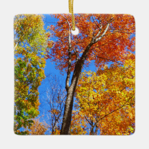 Adorno De Cerámica Tres tonos de coloridos arces de otoño