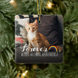 Adorno De Cerámica Tributo conmemorativo de gato con 2 fotos