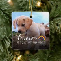 Tributo conmemorativo para perro con 2 fotos