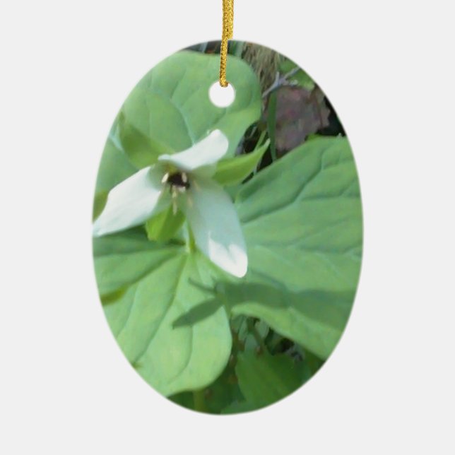 Adorno De Cerámica trillium blanco con verde (Frente)
