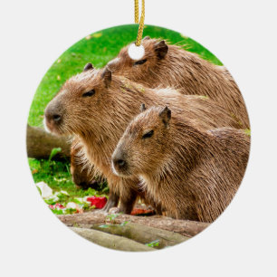 Adorno De Cerámica Trío de Capibara