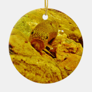 Adorno De Cerámica Truco en la corriente