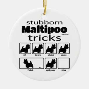 Adorno De Cerámica Trucos de Maltipoo
