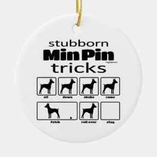 Adorno De Cerámica Trucos mín. pin