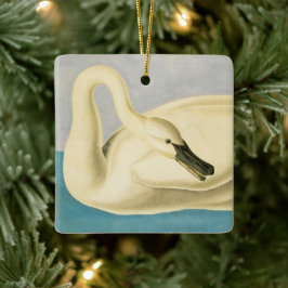 Adorno De Cerámica Trumpeter Swan de John James Audubon, ave vintage