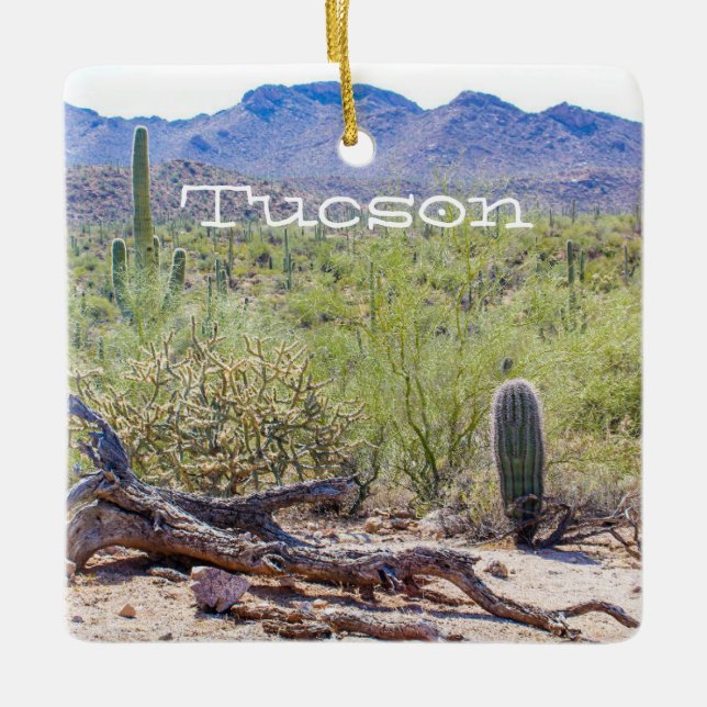 Adorno De Cerámica Tucson Arizona (Anverso)
